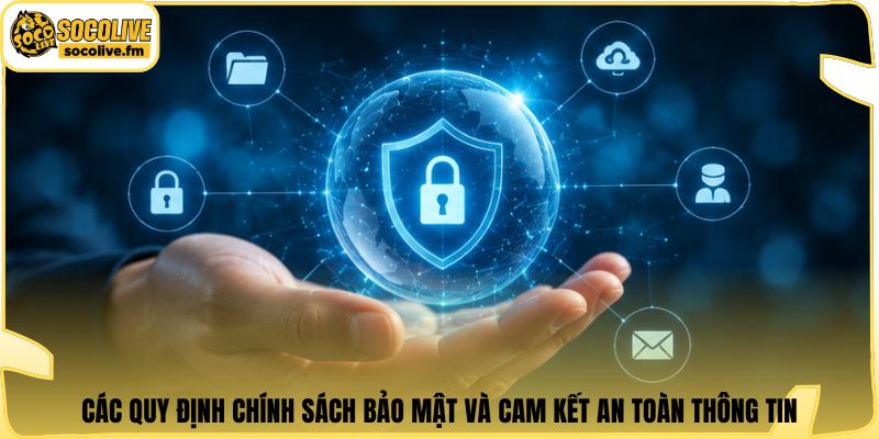 Các quy định chính sách bảo mật và cam kết an toàn thông tin