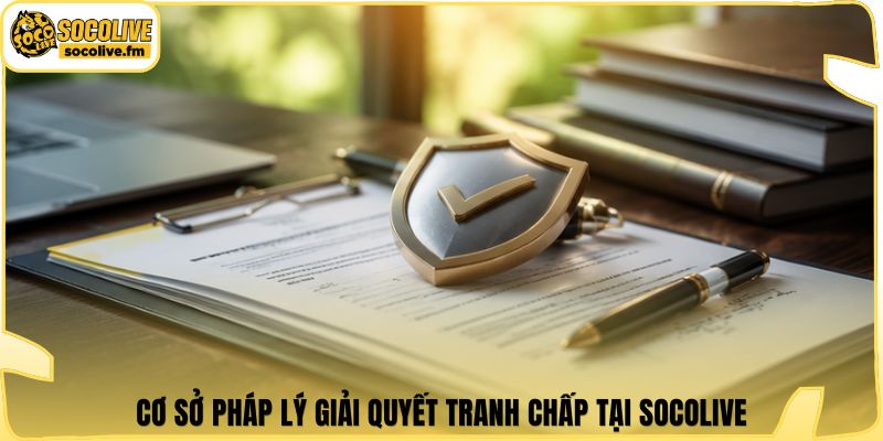 Cơ sở pháp lý giải quyết tranh chấp tại Socolive