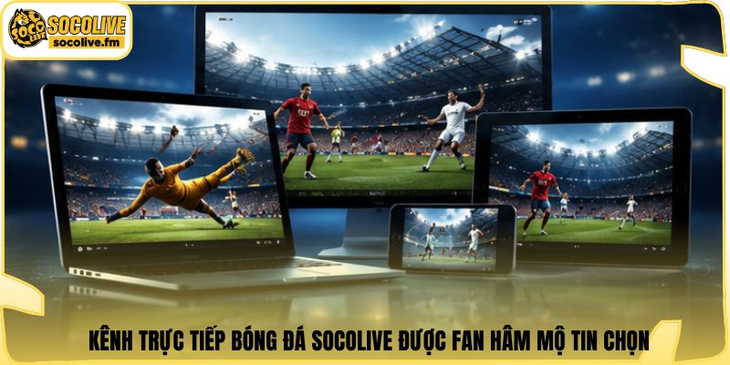 Kênh trực tiếp bóng đá Socolive được fan hâm mộ tin chọn